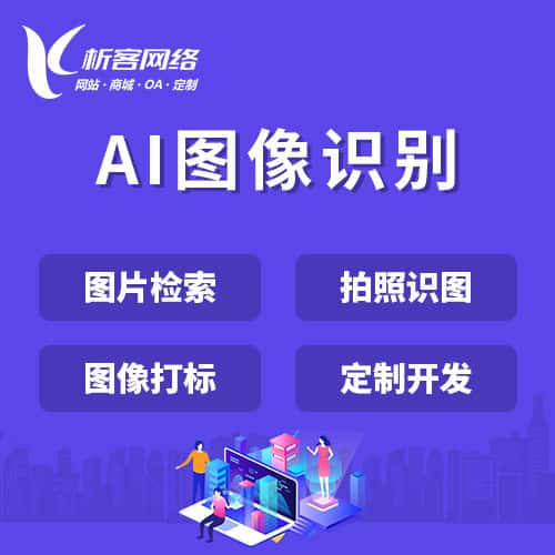 衡水AI图像识别