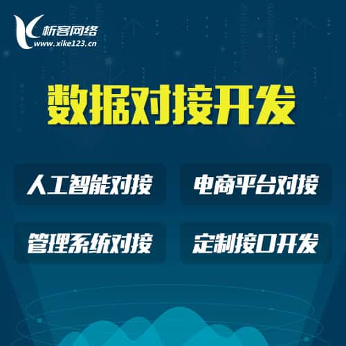衡水智能数据对接