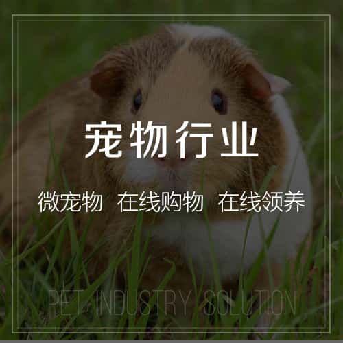 衡水宠物