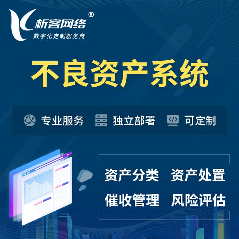 衡水不良资产管理系统