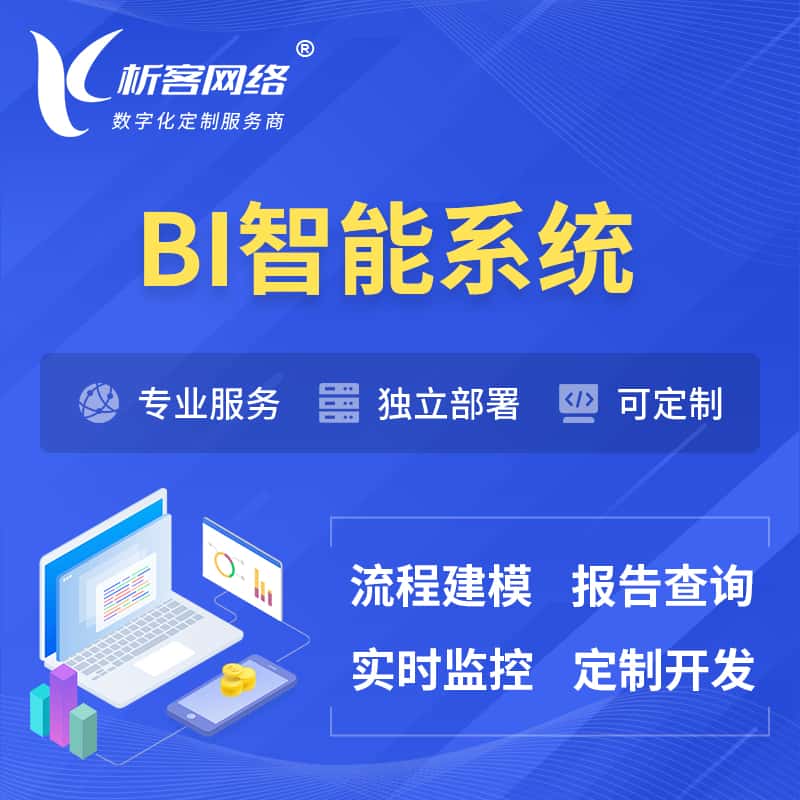 衡水BI智能系统 | BI数据可视化
